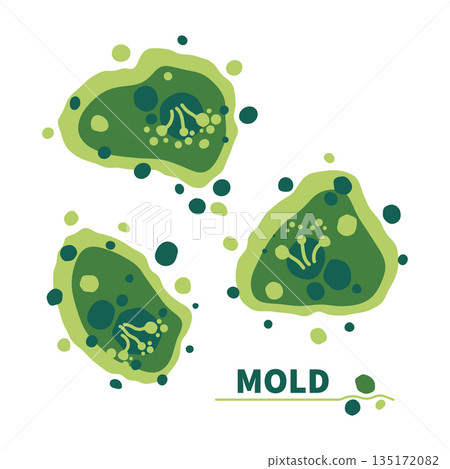 Green fungus spores growth vector illustration set 135172082