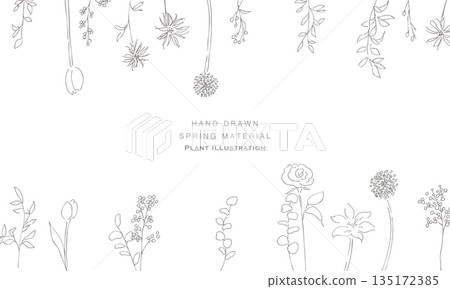 手繪植物插圖。植物向量背景插圖。植物邊框。 135172385