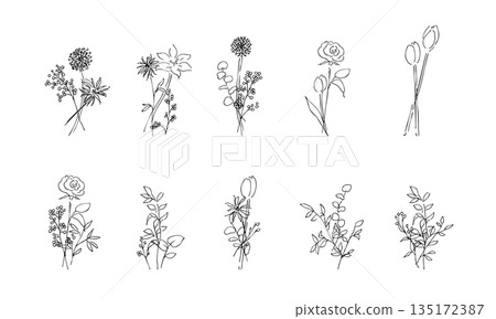 Hand drawn plant illustration. Botanical vector background illustration. Plant frame. Hand drawn plant illustration. Botanical vector background illustration. Plant frame. 135172387