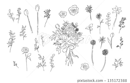 手繪植物插圖。植物向量背景插圖。植物邊框。 135172388