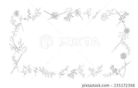 Hand drawn plant illustration. Botanical vector background illustration. Plant frame. 135172398
