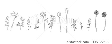 Hand drawn plant illustration. Botanical vector background illustration. Plant frame. 135172399