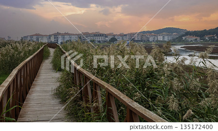 A wooden boardwalk and sunset marsh 135172400