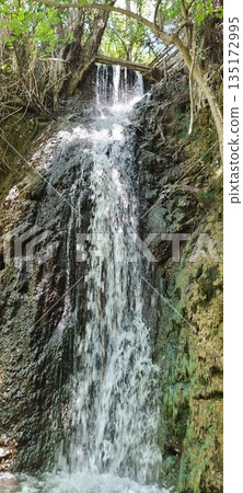 Narrow waterfall over mossy rock wall Narrow waterfall over mossy rock wall 135172995