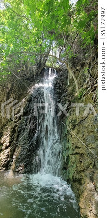 Narrow waterfall over mossy rock wall 135172997