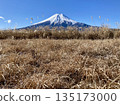 枯黃的銀草田和富士山 135173000