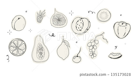 Fruit doodle sketch hand drawn set tropical and garden fruits and berries. Decorative vector elements for poster, placard, greeting card, menu or wedding invitation 135173028