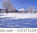 富士山北麓，白雪皚皚的廣場上，樹影婆娑。 135173129