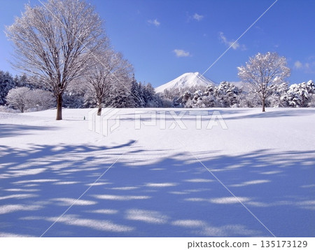 富士山北麓，白雪皚皚的廣場上，樹影婆娑。 135173129