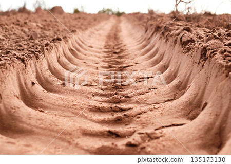 Sand, agriculture and field with land, farm and ground with economic growth, sustainability and nature. Earth, landscape and industry for farming, plough and dessert with climate change and drought 135173130