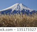 冬富士和枯萎的銀草 135173327