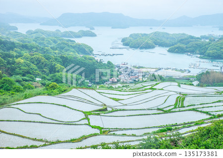 Oura rice terraces and Iroha Island in May Oura rice terraces and Iroha Island in May 135173381