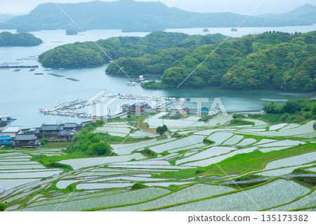 Oura rice terraces in May Oura rice terraces in May 135173382