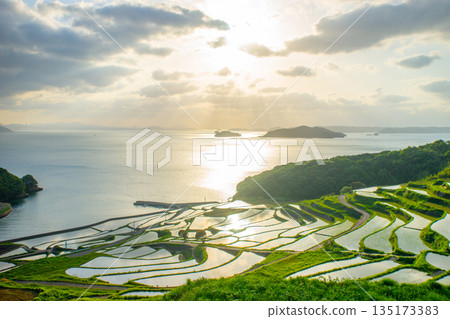 Tsuchiya rice terraces facing the setting sun Tsuchiya rice terraces facing the setting sun 135173383