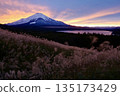 富士山、湖泊與夕陽下的銀草地 135173429