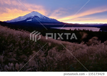 Mount Fuji, lake and silver grass fields in the sunset sky Mount Fuji, lake and silver grass fields in the sunset sky 135173429
