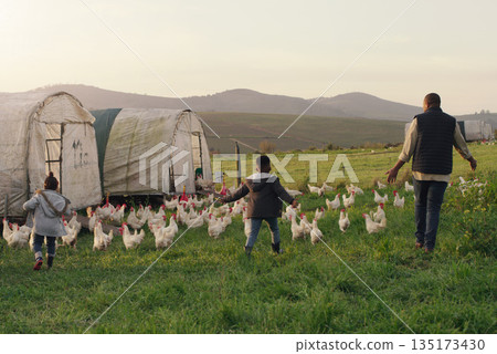 Chicken, dad with children on field, farming and sustainable business in agriculture with livestock. Nature, bird farmer and kids walking on grass, bonding on family farm with sustainability and love Chicken, dad with children on field, farming and sustainable business in agriculture with livestock. Nature, bird farmer and kids walking on grass, bonding on family farm with sustainability and love 135173430