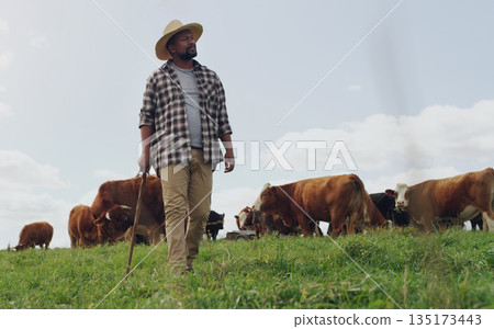 Agriculture, cow and black man thinking on farm, walking with stick and farming mockup. Land, cattle and African male farmer with livestock eating on grass field for milk, beef and meat production. Agriculture, cow and black man thinking on farm, walking with stick and farming mockup. Land, cattle and African male farmer with livestock eating on grass field for milk, beef and meat production. 135173443