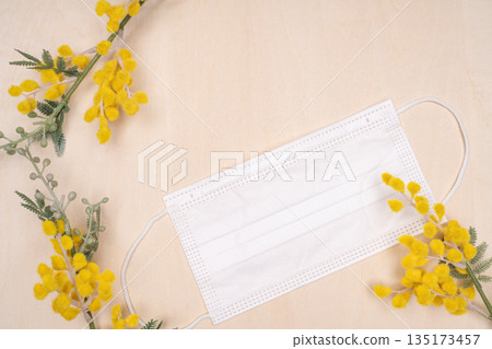 Spring hay fever image Mimosa and nonwoven mask 135173457