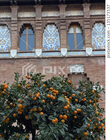 Vibrant Orange Tree Against Historic Architecture in Valencia Vibrant Orange Tree Against Historic Architecture in Valencia 135173537