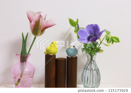 春季花卉和鳥類用品 135173929