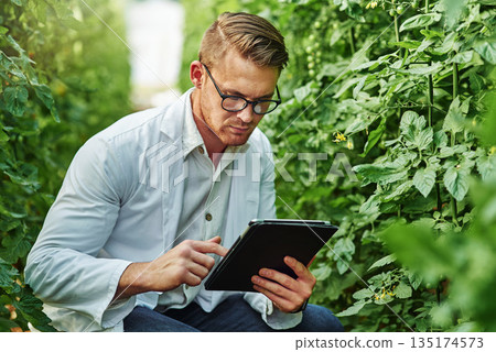 Scientist, plants and tablet for research on a farm or ecology for working in agro and agriculture. Science, expert and growth for farming in a greenhouse for analysis of the environment or nature. Scientist, plants and tablet for research on a farm or ecology for working in agro and agriculture. Science, expert and growth for farming in a greenhouse for analysis of the environment or nature. 135174573