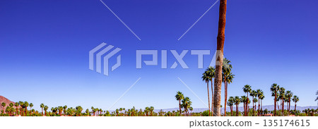 san jacinto mountain, palm springs, california 135174615