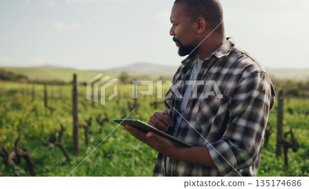 Farm, tablet and a black man on a field for agriculture, sustainability or crop research during spring. Internet, innovation and a male farmer standing in the countryside for the harvest season 135174686