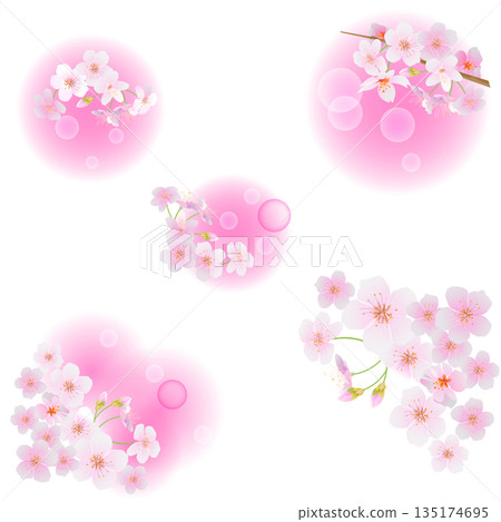 櫻花圖標 135174695