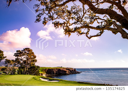 Pebble Beach golf course, Monterey, California, usa 135174825