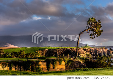 Pebble Beach golf course, Monterey, California, usa 135174869