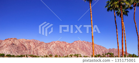 san jacinto mountain, palm springs, california san jacinto mountain, palm springs, california 135175001