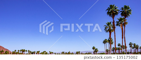 san jacinto mountain, palm springs, california 135175002