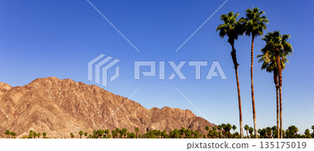 san jacinto mountain, palm springs, california san jacinto mountain, palm springs, california 135175019