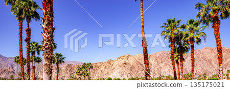 san jacinto mountain, palm springs, california san jacinto mountain, palm springs, california 135175021