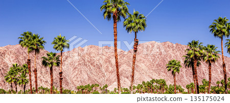 san jacinto mountain, palm springs, california san jacinto mountain, palm springs, california 135175024