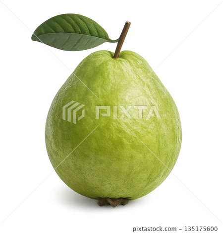 一幅逼真的番石榴剪紙插圖，背景透明。 135175600