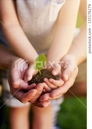 Environment, people holding a plant growing in soil and outdoors with lens flare. Ecology or sustainability, eco friendly or growth and hands of father with child hold green seedling with family Environment, people holding a plant growing in soil and outdoors with lens flare. Ecology or sustainability, eco friendly or growth and hands of father with child hold green seedling with family 135176279