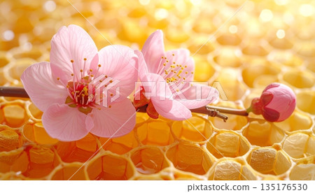 Pink spring flowers on a yellow honeycomb and spring blossoms. 135176530