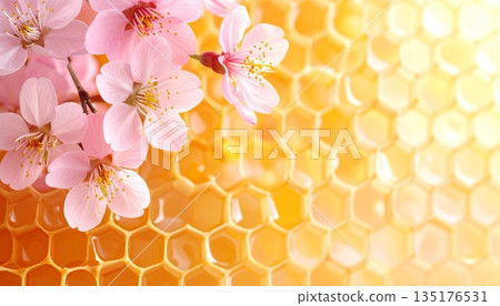 Pink spring flowers on a yellow honeycomb and spring blossoms. 135176531