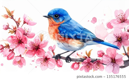 A charming wildlife illustration shows a brightly colored parrot with a vivid beak perched on a tropical branch surrounded by green leaves and flowers. 135176555