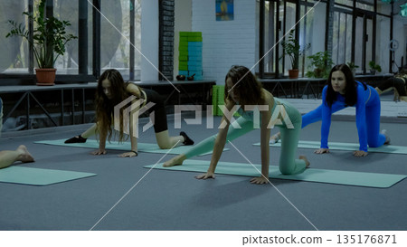 Group of women in a yoga pose on green mats Group of women in a yoga pose on green mats 135176871