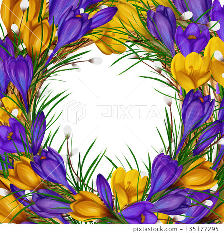 Easter square frame, banner, template with yellow and purple crocuses, willow vines, green branches Easter square frame, banner, template with yellow and purple crocuses, willow vines, green branches 135177295