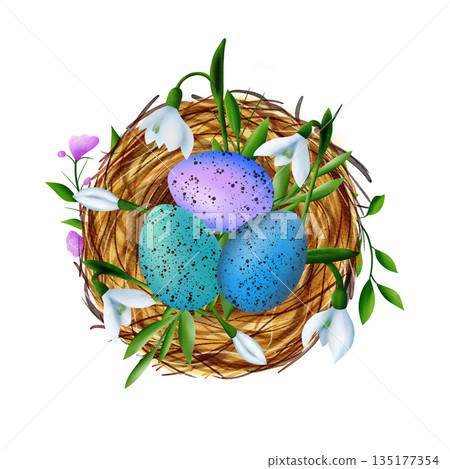 Easter composition with a nest, colourful eggs, snowdrop flowers, willow vines, green branches 135177354