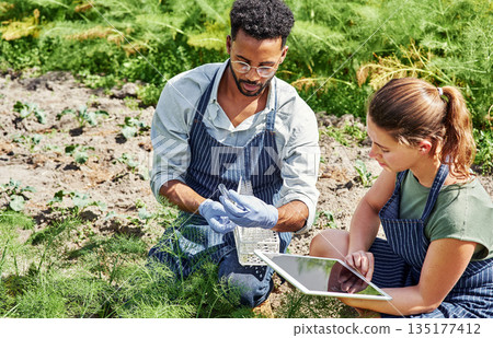 Farmer, team and plant analysis on tablet for agriculture science, produce control and monitor vegetables, agro or farm. Sustainability, people and measure quality of environment on technology 135177412