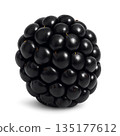 一張逼真的黑莓剪紙插圖，背景透明。 135177612