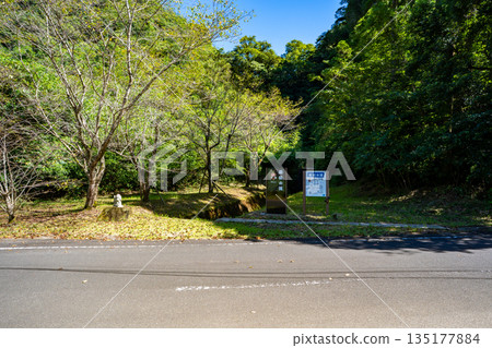Waterfall after the rain (Kinkocho) 135177884
