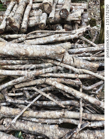 cut the felled wood and then arrange it cut the felled wood and then arrange it 135178290