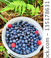 A white bowl filled with blueberries and raspberries 135178631