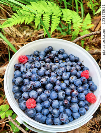A white bowl filled with blueberries and raspberries 135178631